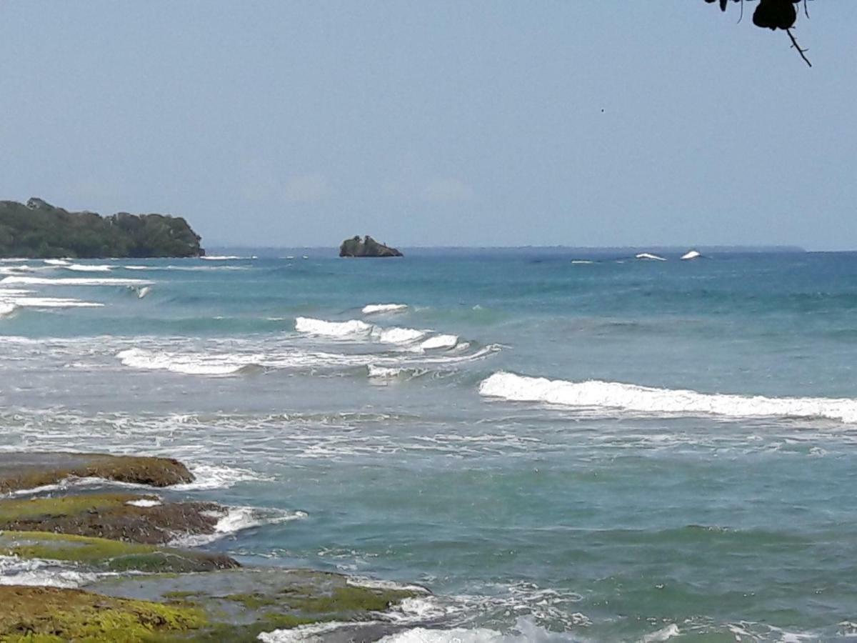 Hotel Casa Conley Del Mar Puerto Viejo de Talamanca 外观 照片