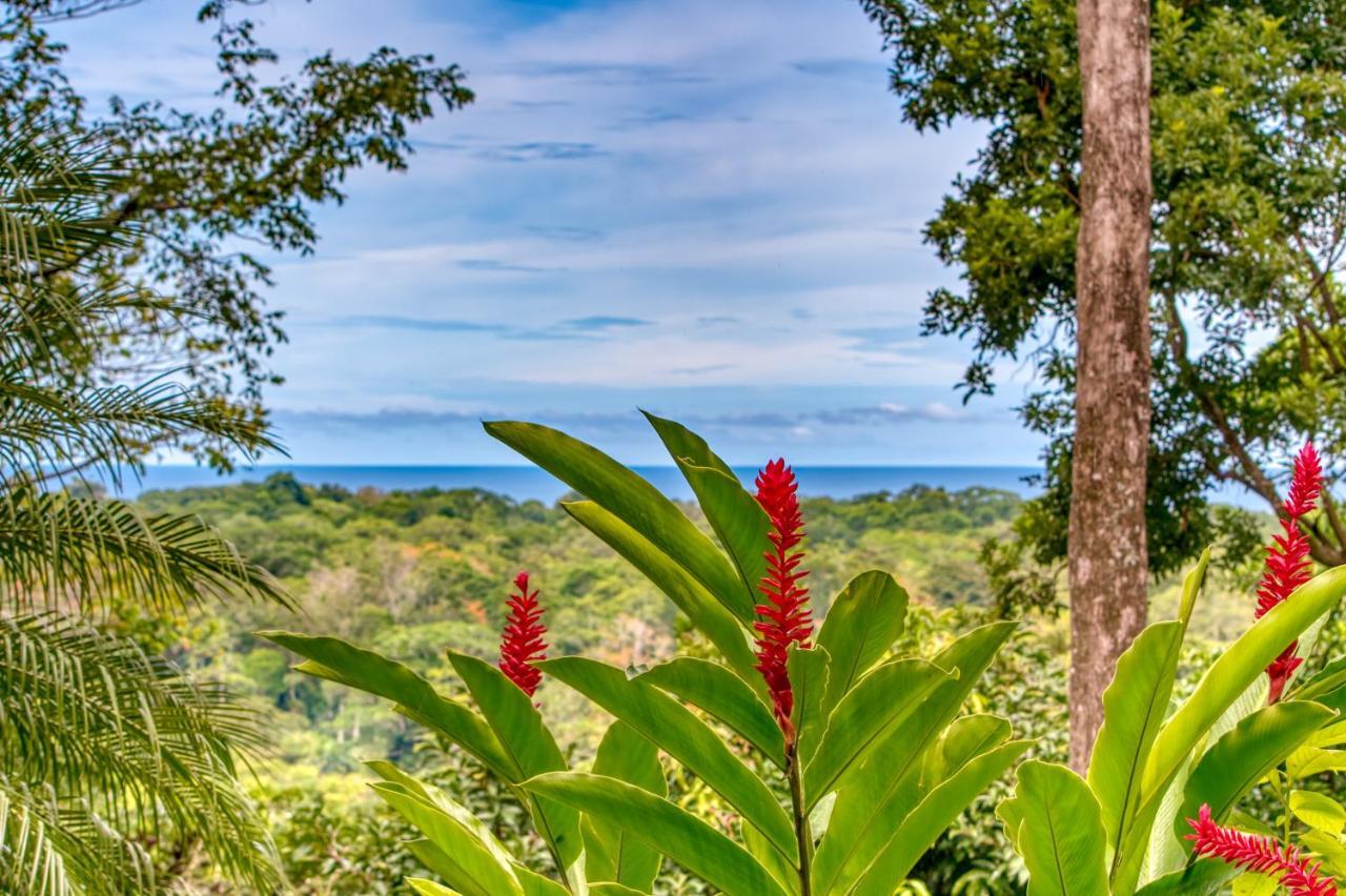 Hotel Casa Conley Del Mar Puerto Viejo de Talamanca 外观 照片