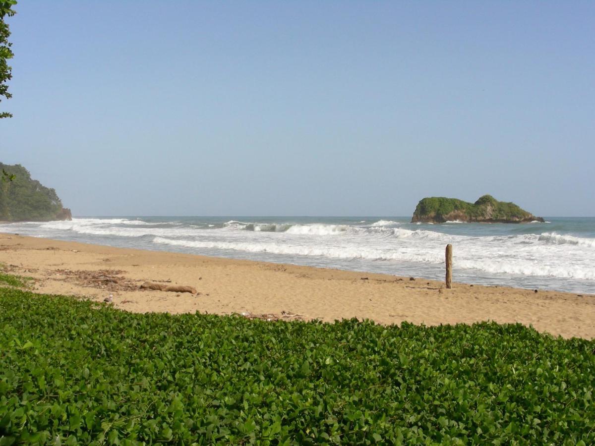Hotel Casa Conley Del Mar Puerto Viejo de Talamanca 外观 照片
